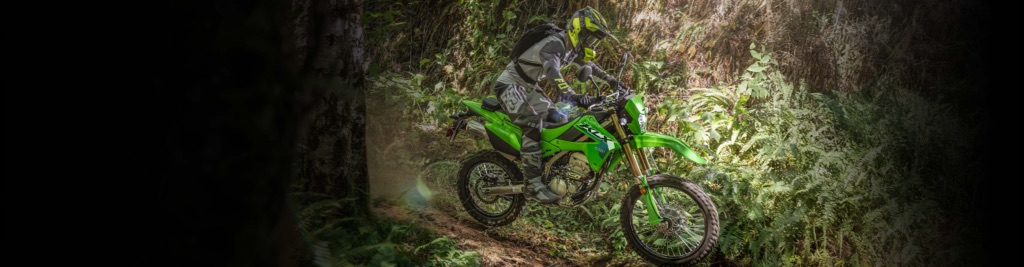 Best Beginner Dirt Bikes for Oregon Trail Riders