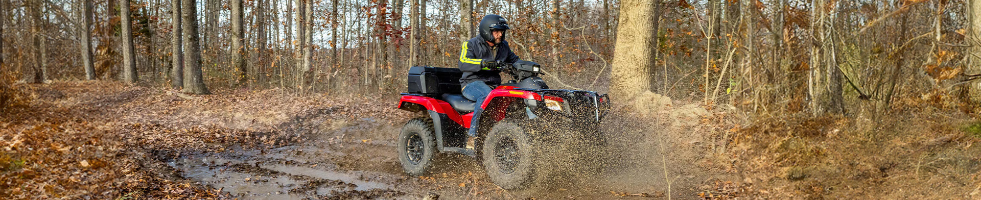 Honda UTV