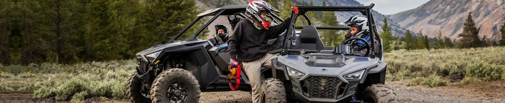 Polaris RZR