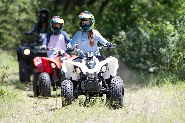 Can-Am DS 250 Sport ATV