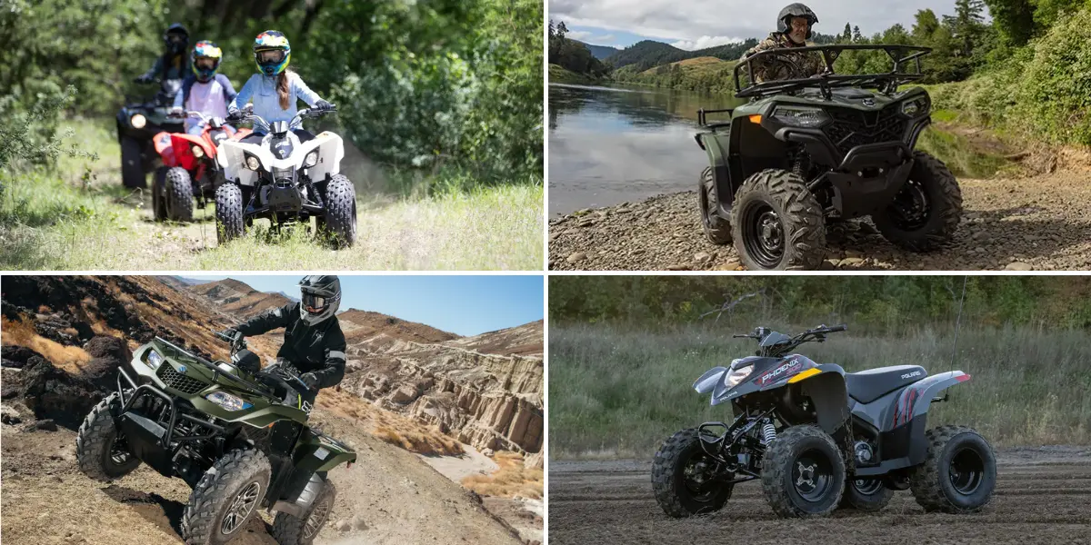 Comparison of sport and utility ATVs showing size difference
