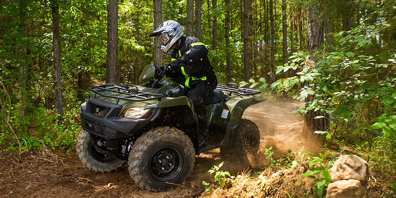 Suzuki ATV The King of Dust Defense