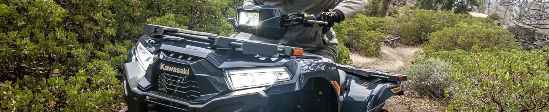 Kawasaki