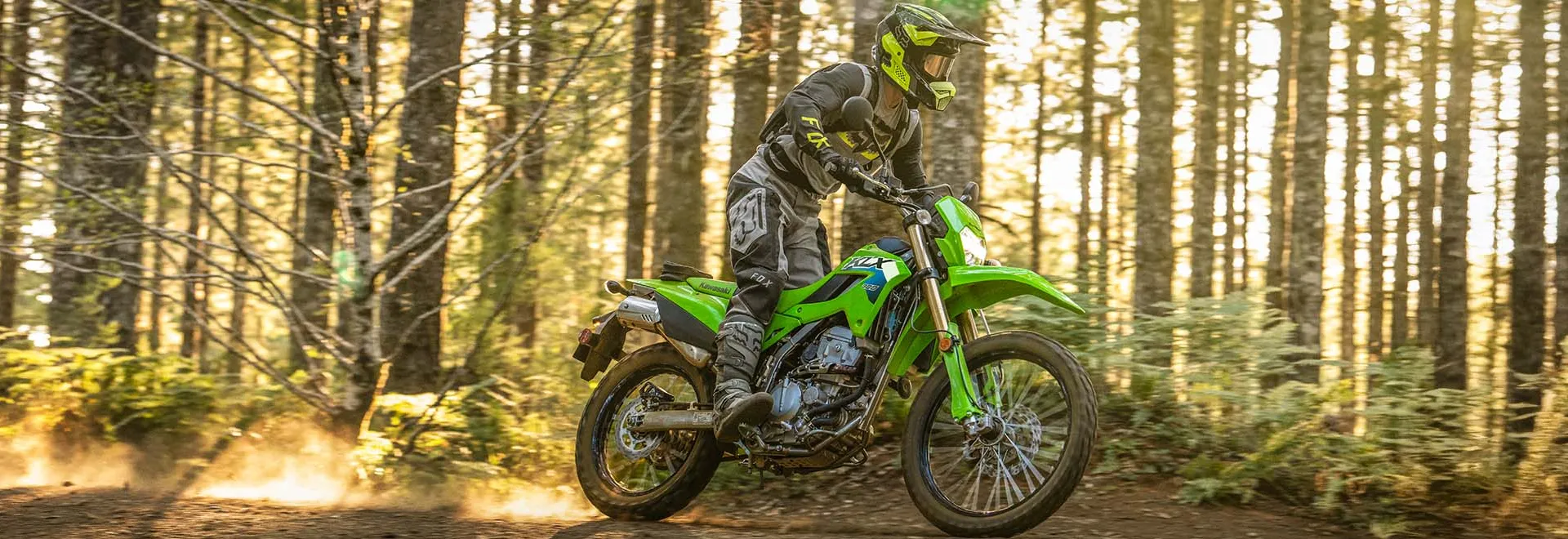 Kawasaki KLR 650