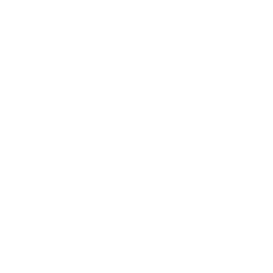 Commercial Fleets